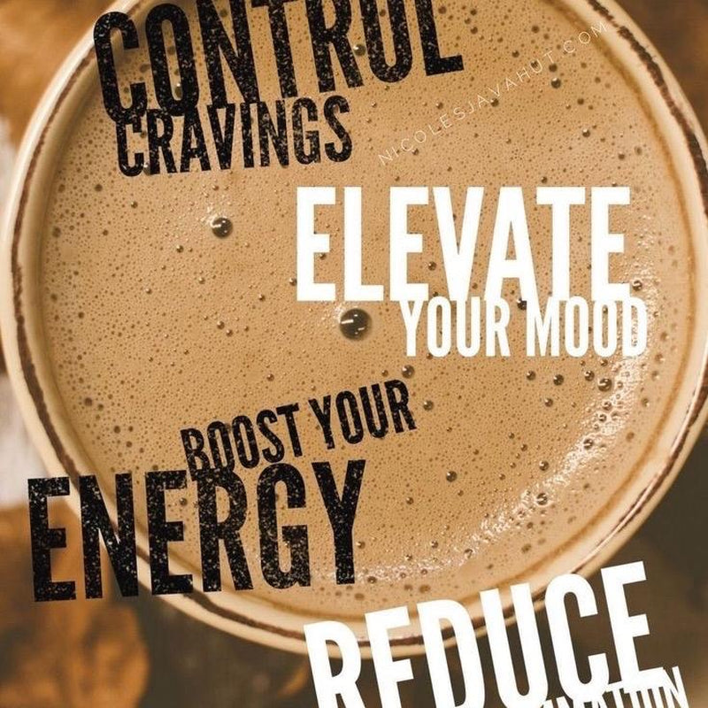 Protein Loaded Coffee Energy Viral on the Go 16 OZ Coffee Beverage with 10G Protein & 180Mg Caffeine for Rapid Energy Boost Packets for Hot or Cold